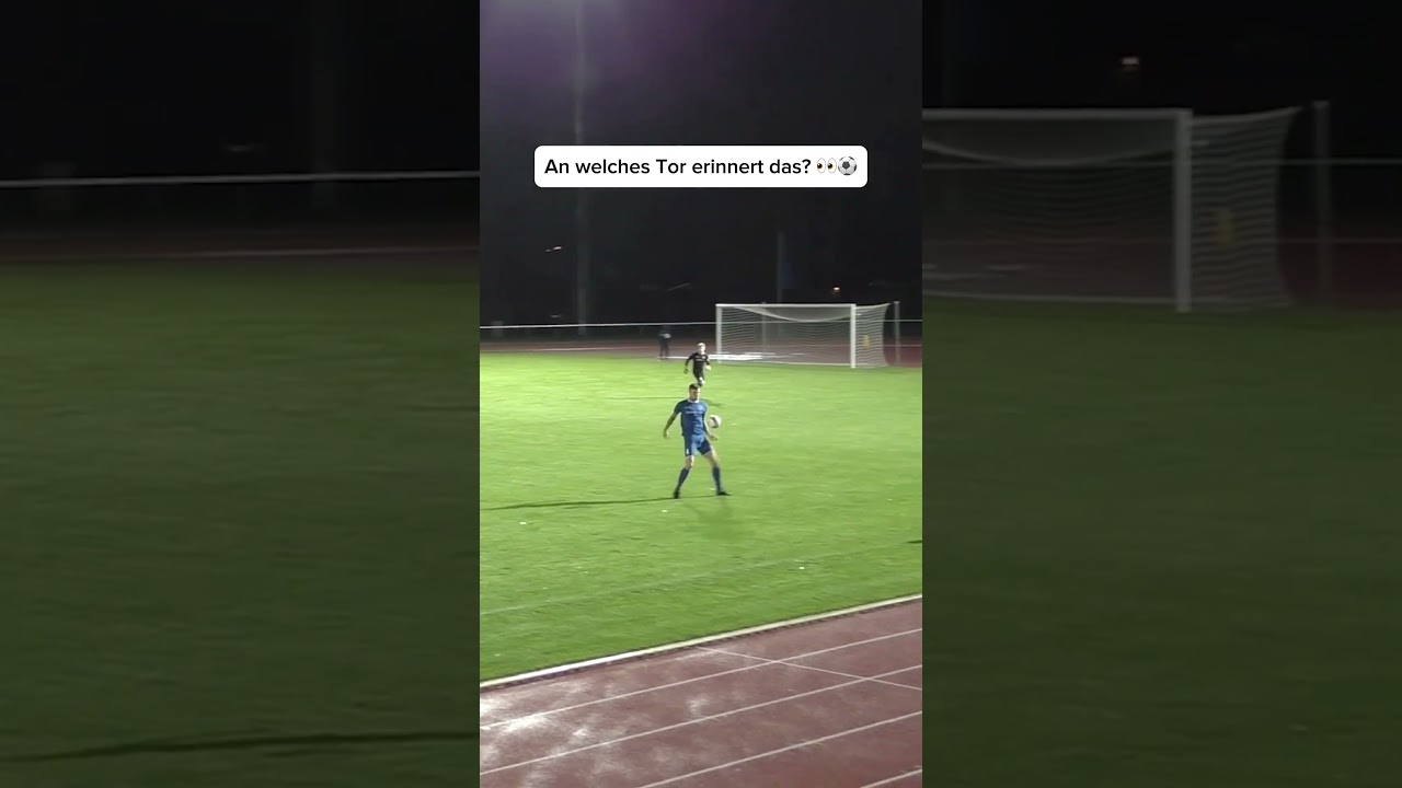 Sascha Burchert Doppelpatzer vs HSV 2009 für mich 😄⚽ 