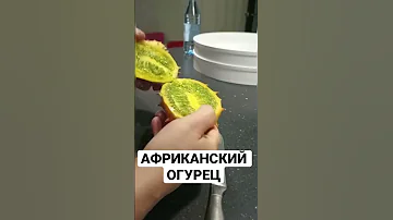 ВЫ КОГДА-НИБУДЬ ВИДЕЛИ АФРИКАНСКИЙ ОГУРЕЦ?