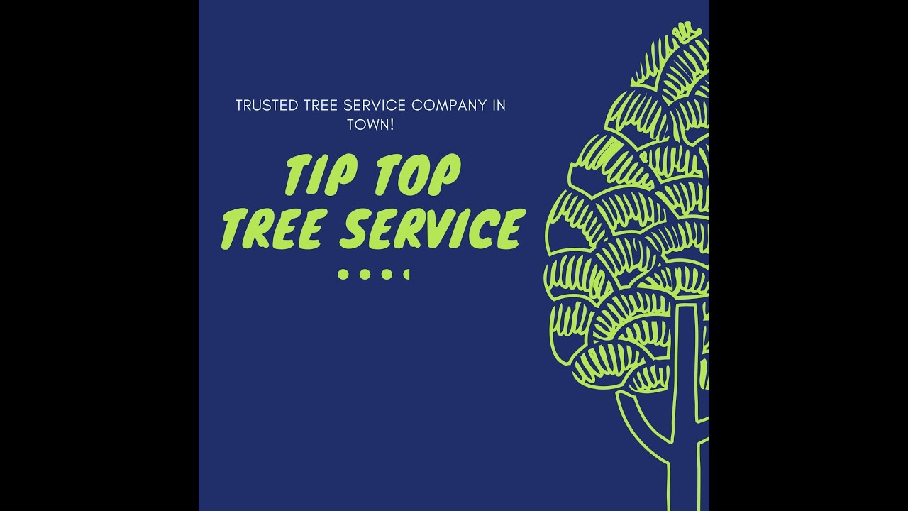 Tip Top Tree Service of Edmond Lexington (405) 241 4965 YouTube