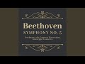 Miniature de la vidéo de la chanson Symphony No. 5 In C Minor, Op. 67 “Fate”: Iii. Scherzo. Allegro