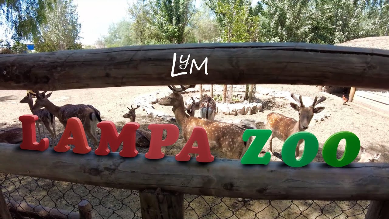 Visito el Lampa Zoo y lo Recorro Completo | Lampa