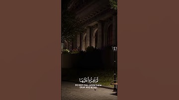 قرأ القرآن الكريم بصوت الشيخ محمد اللحيدان ❤️‍🩹