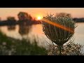 Маленькое путешествие🕊