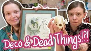 Epic Estate Sale Haul | We Bought Amazing Vintage, Art Deco, & Some Lovely Dead Things