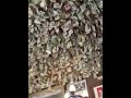 Washoe House of Ghosts, Good Sandwiches,  and a Million One Dollar Bills.