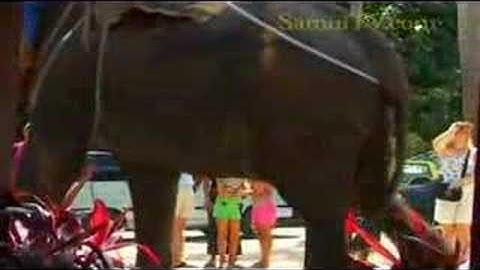 Namuang Safari Park Samui Island Thailand - samuitv.com