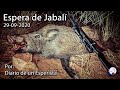 Espera de Jabalí 29-09-2020. Estrenando el Mannlicher y el Buhnell