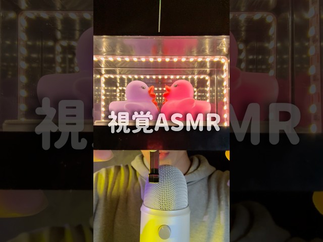 視覚ASMRやっていくよ！！ #asmr #shorts #視覚 #visual