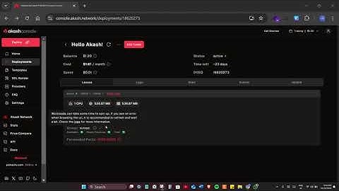 Deployment on akash console