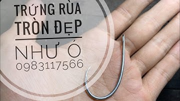 Trứng rùa cổ điển, tròn đẹp như ó. 0983117566