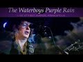 The Waterboys Purple Rain Live At Prince S First Avenue The Waterboys Purple Rain Live At Prince S First Avenue