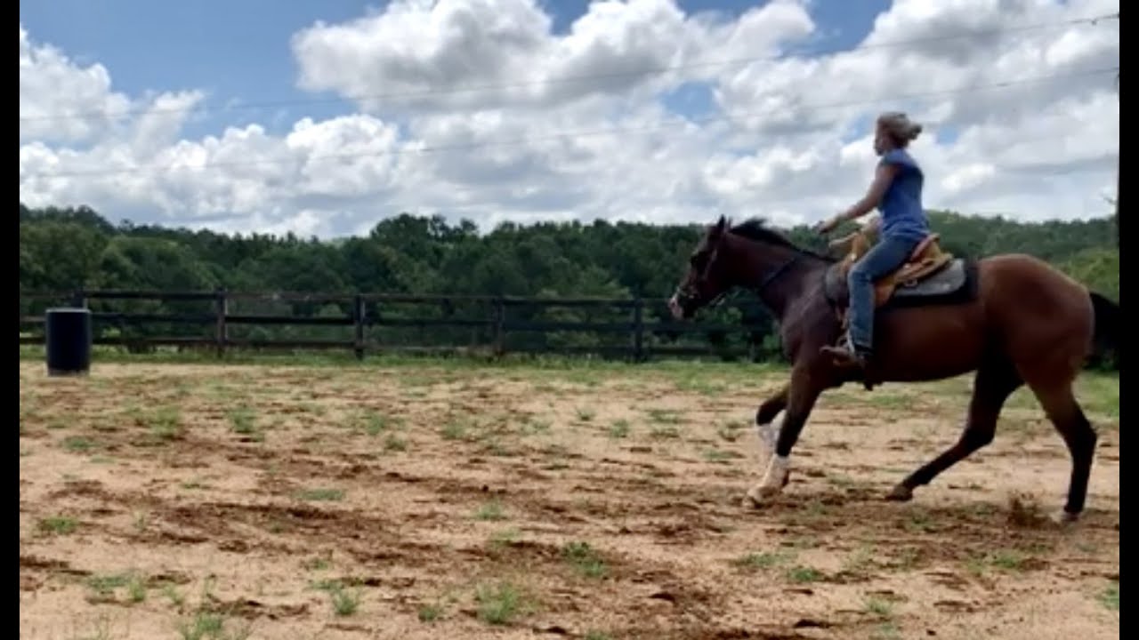 Fortune Famous: Trotting, Loping, Barrels- 1st time. - YouTube