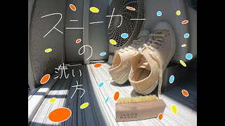 【夏来るぞ】スニーカーの洗い方