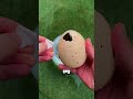 Bu Adam Köpekbalığı Yumurtasını Açtı 😳🦈