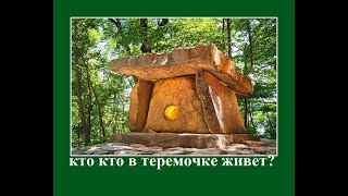 Кто кто в Теремочке живет? Предания о дольменах.