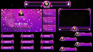 Twitch Animated Overlay and Logo design