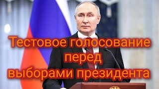 Прошло тестовое голосование перед выборами президента России