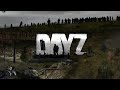 Dayz Stream