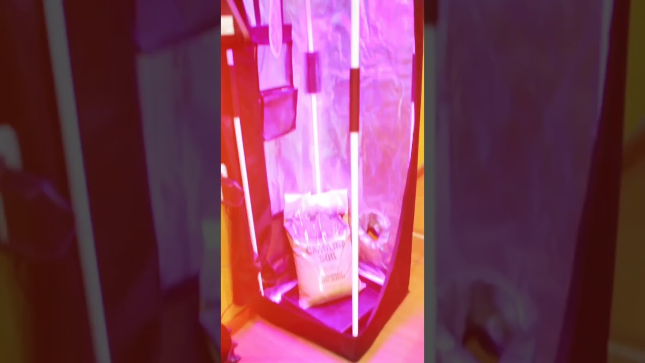 Estufa para Cultivo Indoor Probox Garden High Pro - Maria Joana Shop