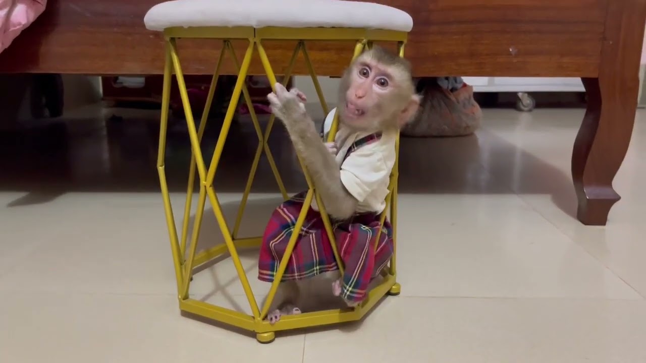 Oops..!! Jasmine make her mom Wo0rii with her st..ckinq in the table 