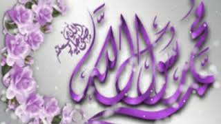 habibuna muhammad alayihis salam حبيبنا محمد عليه السلام