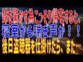 【修羅場】嫁を驚かす為こっそり帰宅すると、寝室から喘ぎ声が！！後日盗聴器を仕掛けたら、また…