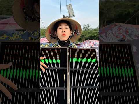 Phao hố đấu tự cân không chì #vyhanfishing #fishing #phaocauca