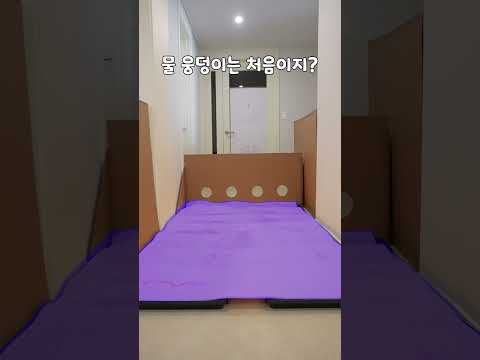 고양이 앞에 젖은 바닥을 깔아봤더니… 예상못한 리액션 유형 6가지