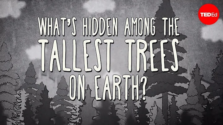 What's hidden among the tallest trees on Earth? - ...