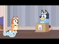 ブルーイ ミニストーリー | バッチ3 | ブルーイ - 日本公式チャンネル - Bluey
