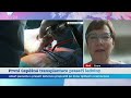 První úspěšná transplantace prasečí ledviny