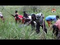 Ibidukikije:Ibiyaga Nagitamo na Gacamirindi bitegerezwa gukingirwa kugira ntibikame nko muri kahise.