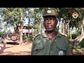 Ibidukikije:Ibiyaga Nagitamo na Gacamirindi bitegerezwa gukingirwa kugira ntibikame nko muri kahise.