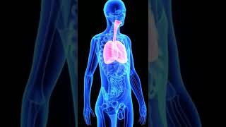 hemegencias 8 síntomas del cancer de pulmones #remedios #cuerpo #plantas #pulmones #hernegencias
