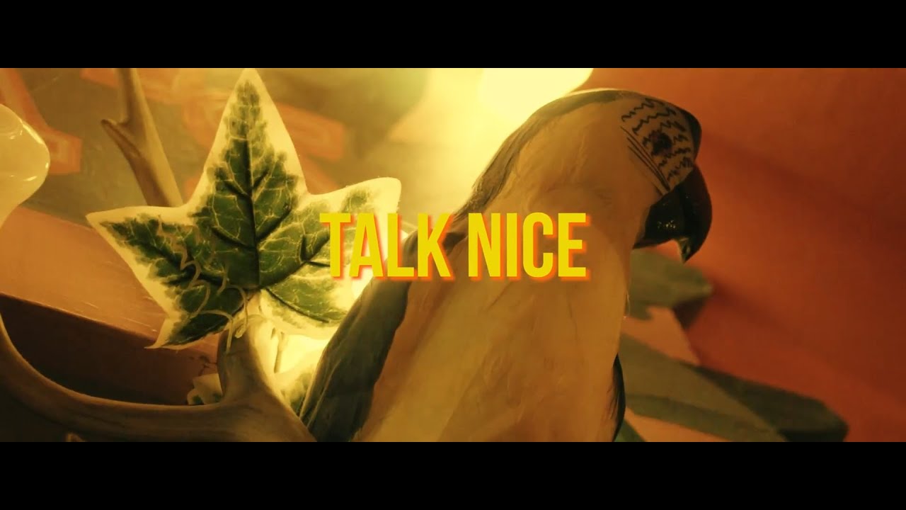 Tobiah Frei - Talk Nice (Official Video)