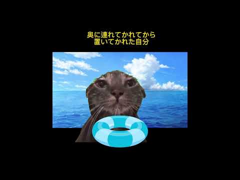 親戚と海にバーベキューに行った時の話(実話)#shorts #猫ミーム#catmeme