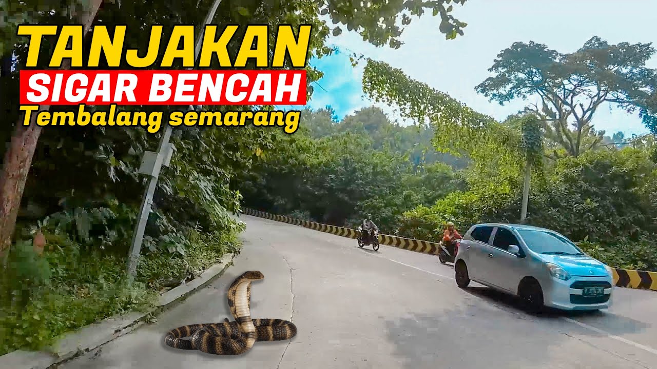 NGERI !!! TANJAKAN SIGAR BENCAH TEMBALANG KOTA SEMARANG JAWA TENGAH