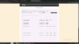 Tiny Stresser Vs Ovh Armor Kosova Teamspeak3 Network Pentest