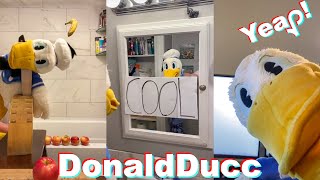 Best of DONALDDUCC TikTok Compilation  Funny Donald Duck TikToks of 2021