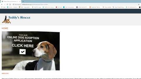Flatiron School FT081219  CLI project user walk through , Craig Wadding
