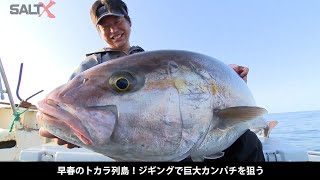 SALT X NO.24 早春のトカラ列島！ジギングで巨大カンパチを狙う【34kgカンパチ出現！】