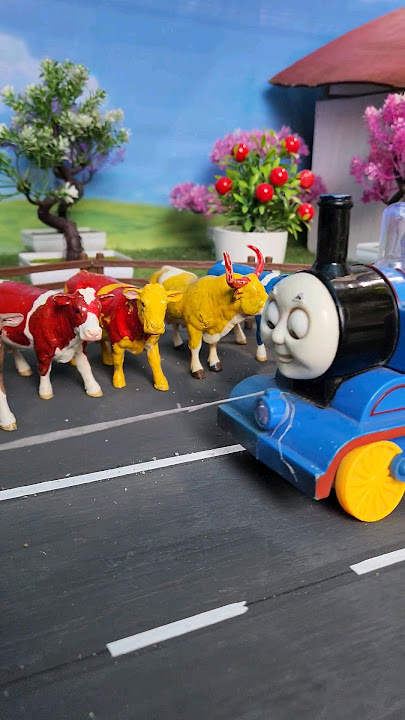 SAPI LUCU LIAT KERETA THOMAS