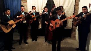 Video thumbnail of "||MAMÁ VEN A SENTARTE AQUÍ - RONDALLA ANHELOS COVER||"