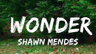 Shawn Mendes - Wonder (Lyrics)  | Music one for me