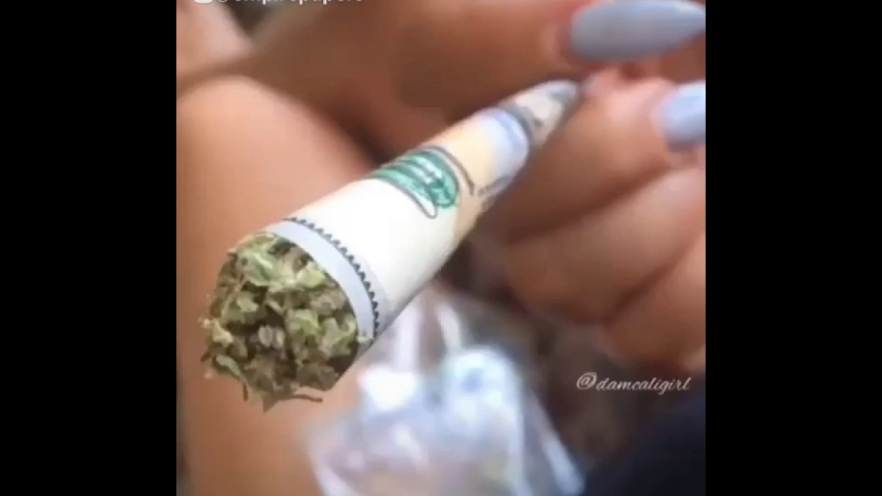 100 Bill Rolling Papers Roll