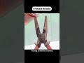 Rating Daily Hacks Nobody Talks About ⚡🔥 #LifeHacks #Shorts