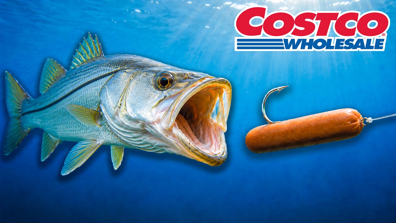 costco fishing lures MadBite Freshwater Lure Kit KastKing Copied by many Costco Fishing Lures | TikTok