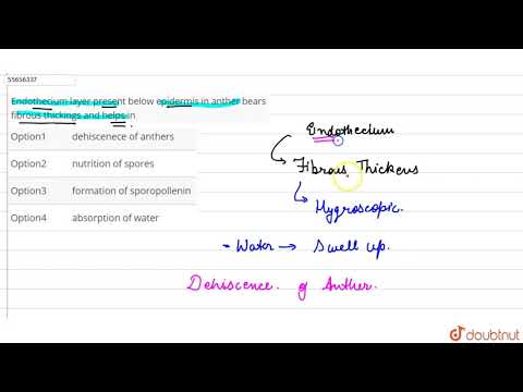 Video: Hoe endothecium helpt bij dehiscentie van helmknop?
