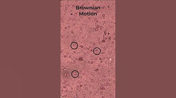 Net movement Vs. Brownian Motion