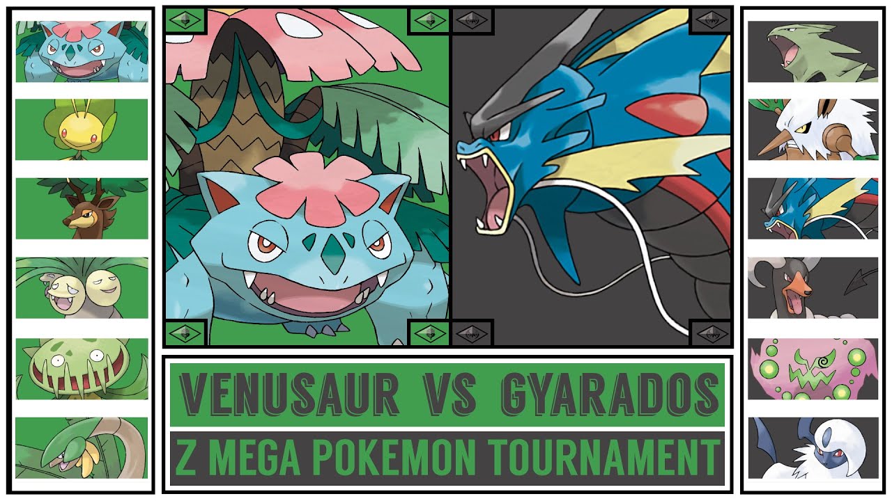 MEGA VENUSAUR vs MEGA GYARADOS Z Mega Pokémon Tournament KantoJohto